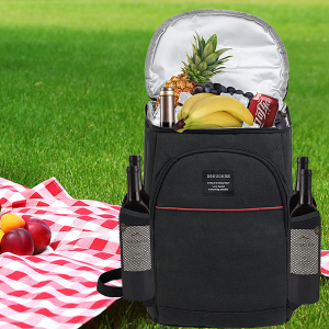 Cooler Backpack